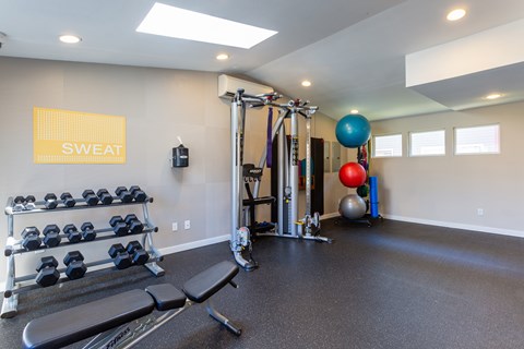 a gym with weights and a yoga ball on the floor and a wall of windows